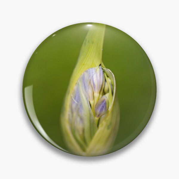 Item preview, Agapanthus Bud With Her Wrapper designed and sold by Joy Watson - Natural Light Photography .