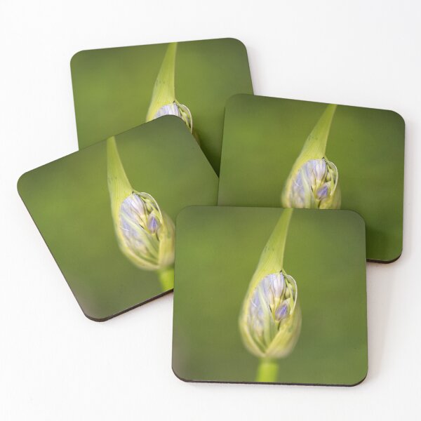 Item preview, Agapanthus Bud With Her Wrapper designed and sold by Joy Watson - Natural Light Photography .