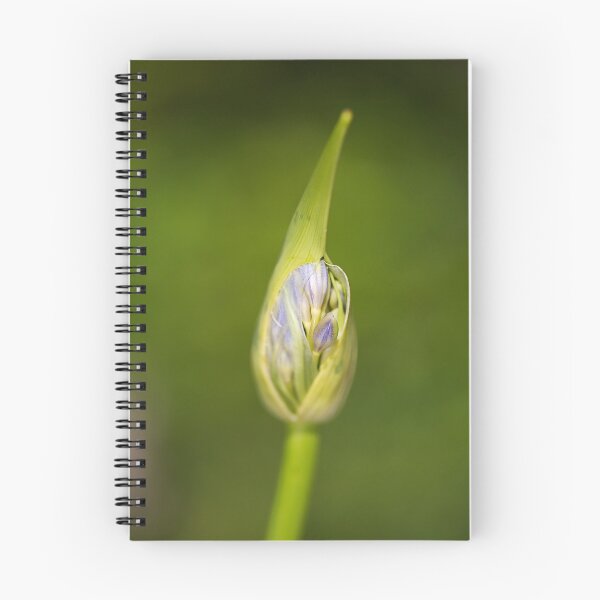 Item preview, Agapanthus Bud With Her Wrapper designed and sold by Joy Watson - Natural Light Photography .