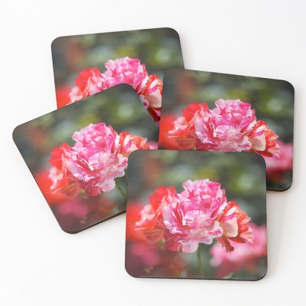 Item preview, Variegated Roses Stage  designed and sold by Joy Watson - Natural Light Photography .
