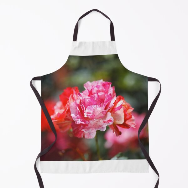 Item preview, Variegated Roses Stage designed and sold by Joy Watson - Natural Light Photography .