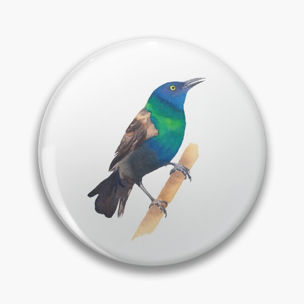 Item preview, Common Grackle - bird watercolour designed and sold by Zoya Makarova.