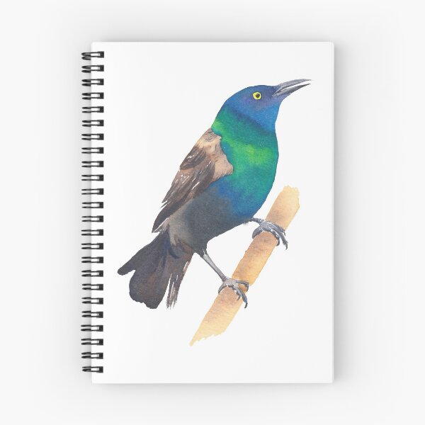 Item preview, Common Grackle - bird watercolour designed and sold by Zoya Makarova.