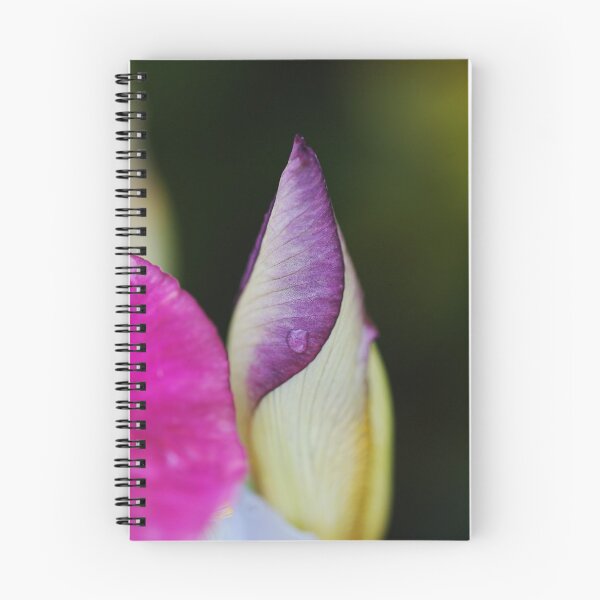 Item preview, Iris Bud Rain Drop designed and sold by Joy Watson - Natural Light Photography .