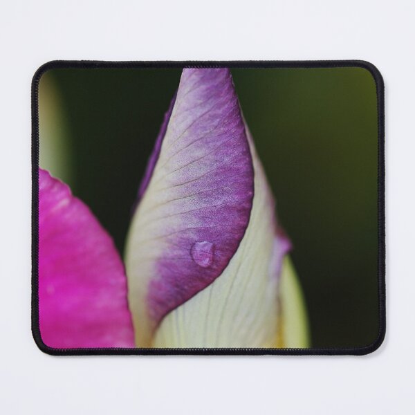 Item preview, Iris Bud Rain Drop designed and sold by Joy Watson - Natural Light Photography .