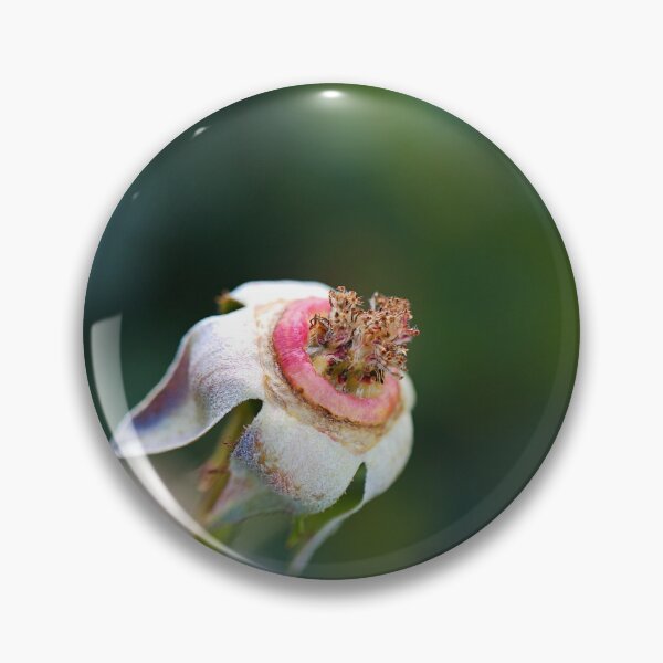 Item preview, Rose Ring Around Its Beauty designed and sold by Joy Watson - Natural Light Photography .