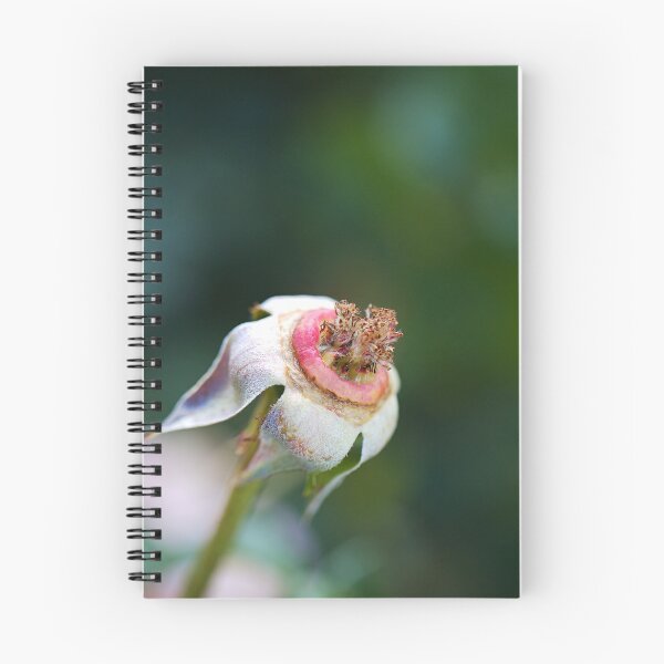 Item preview, Rose Ring Around Its Beauty designed and sold by Joy Watson - Natural Light Photography .