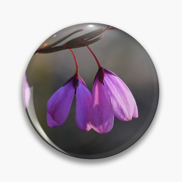 Item preview, Australian Pink Scrambling Bell designed and sold by Cloudlingpics.