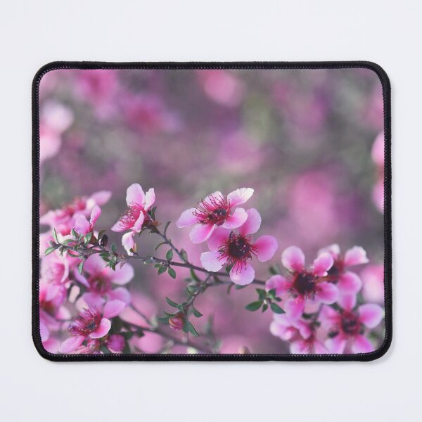 Item preview, Spring Manuka Tea Tree Blossom designed and sold by Cloudlingpics.