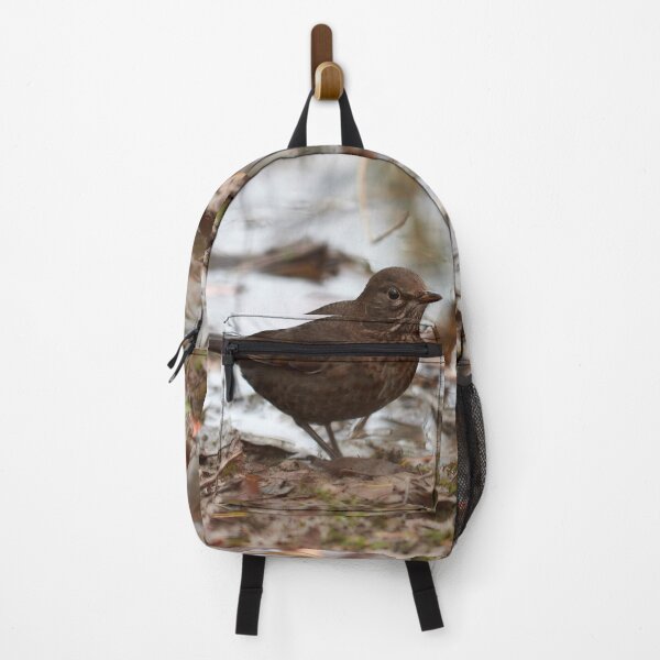 Item preview, Brown as the autmun ground. Eurasian blackbird designed and sold by Jouko Lehto Photography.