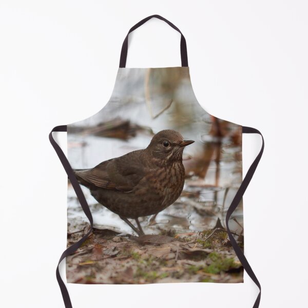 Item preview, Brown as the autmun ground. Eurasian blackbird designed and sold by Jouko Lehto Photography.