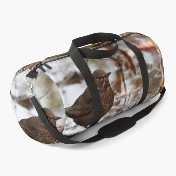 Item preview, Brown as the autmun ground. Eurasian blackbird designed and sold by Jouko Lehto Photography.