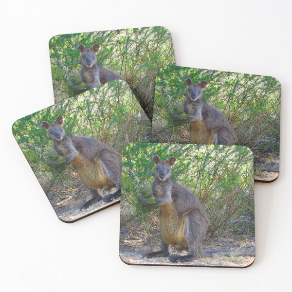 Item preview, The Swamp Wallaby designed and sold by Mickangelhere.