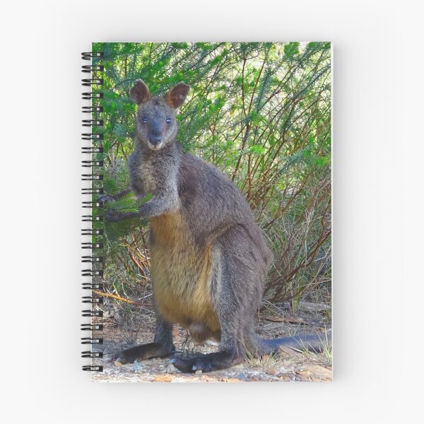 Item preview, The Swamp Wallaby designed and sold by Mickangelhere.