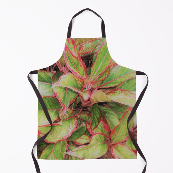 Item preview, The red tip Photinia bushes evergreen shrub designed and sold by Shenuka93.