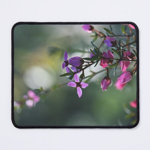 Item preview, Boronia Beauty #3 designed and sold by Cloudlingpics.