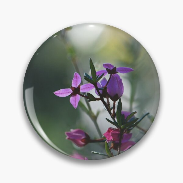 Item preview, Boronia Beauty #3 designed and sold by Cloudlingpics.