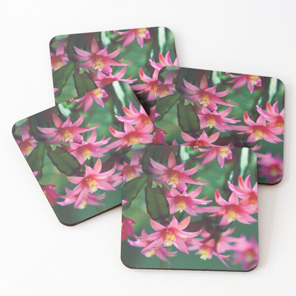 Item preview, Cactus Flower designed and sold by Cloudlingpics.