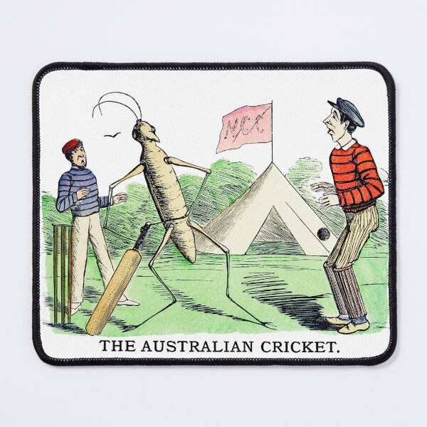 Item preview, Australian Cricket Story designed and sold by JoyforU.