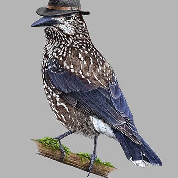 Artwork thumbnail, Spotted nutcracker by Nemonvmv