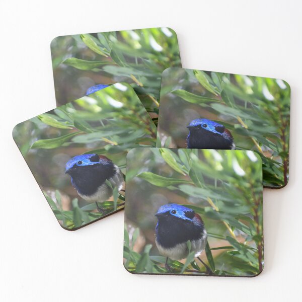 Item preview, Bird's Eye: the Purple-backed Fairy-wren designed and sold by malleekat.