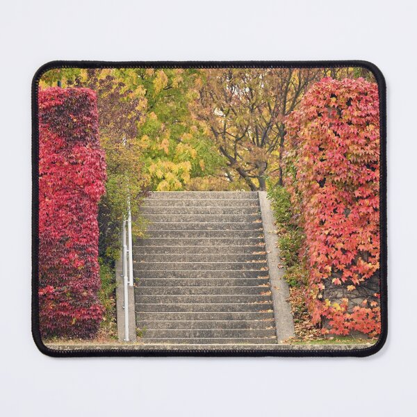 Item preview, Park in Vienna autumn season designed and sold by goceris.
