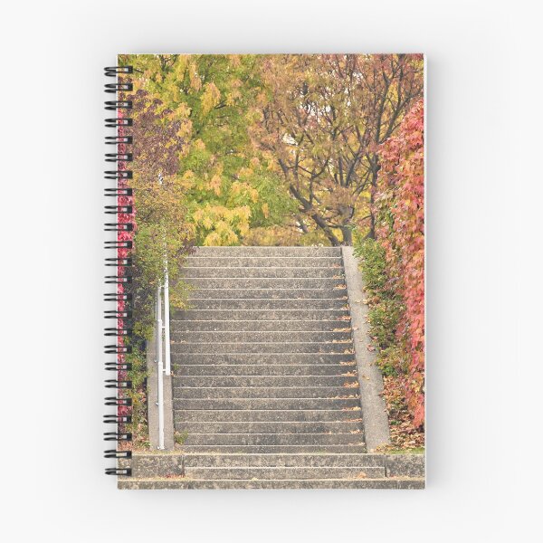 Item preview, Park in Vienna autumn season designed and sold by goceris.