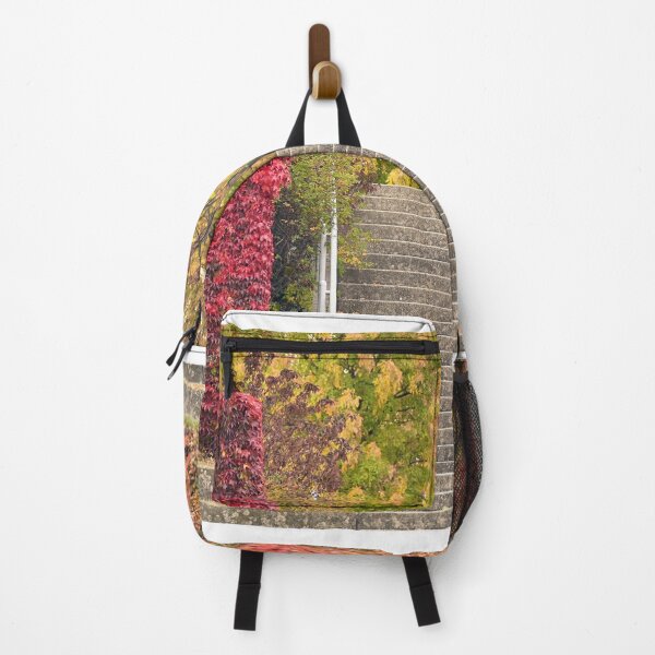 Item preview, Park in Vienna autumn season designed and sold by goceris.