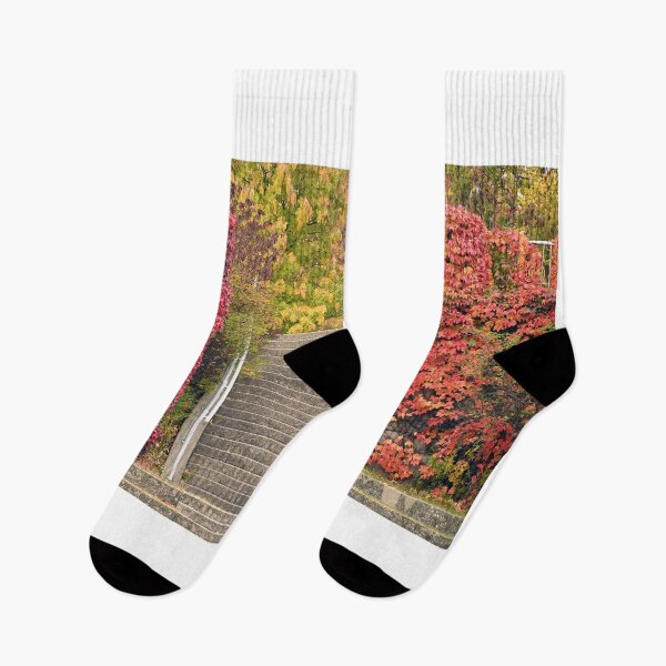 Item preview, Park in Vienna autumn season designed and sold by goceris.
