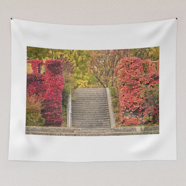 Item preview, Park in Vienna autumn season designed and sold by goceris.