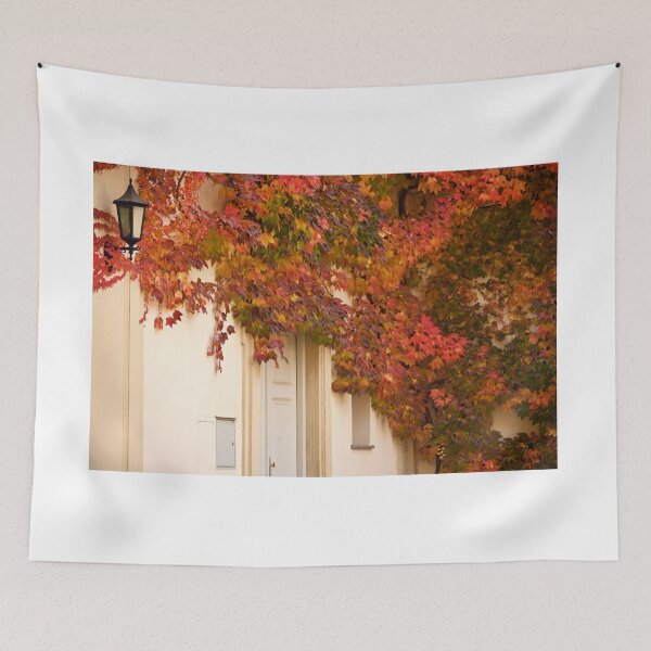 Item preview, the wall of an old house covered with colorful creeper leafs  designed and sold by goceris.