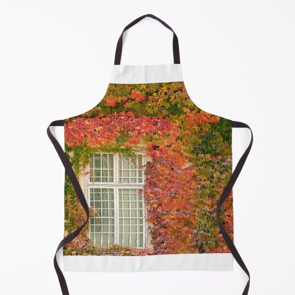 Item preview, wall with wooden window and colorful creeper leafs in Vienna autumn season designed and sold by goceris.
