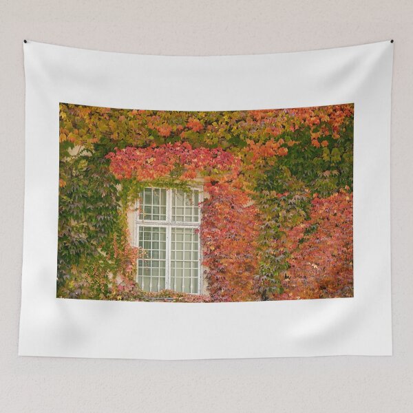 Item preview, wall with wooden window and colorful creeper leafs in Vienna autumn season designed and sold by goceris.