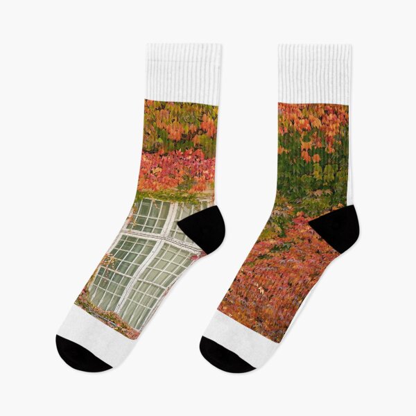 Item preview, wall with wooden window and colorful creeper leafs in Vienna autumn season designed and sold by goceris.