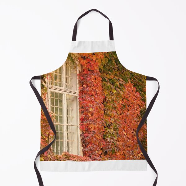 Item preview, wall with wooden windows and colorful creeper leafs in Vienna autumn season designed and sold by goceris.