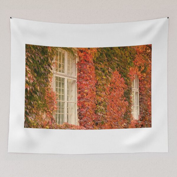 Item preview, wall with wooden windows and colorful creeper leafs in Vienna autumn season designed and sold by goceris.