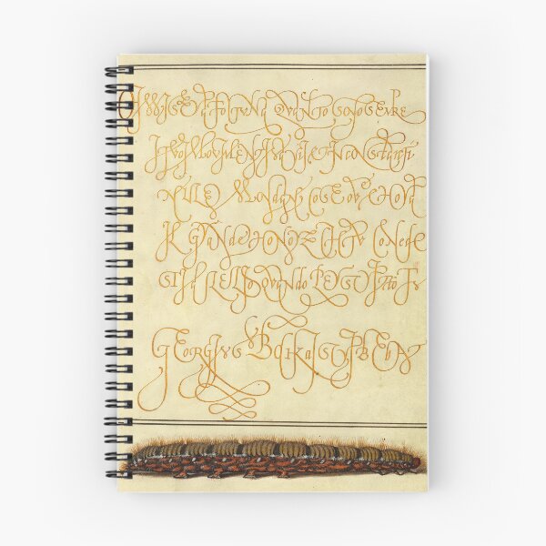 Item preview, Naturalist Manuscript: Insect and Calligraphy Illumination by Joris Hoefnagel designed and sold by Naturalist Prints.