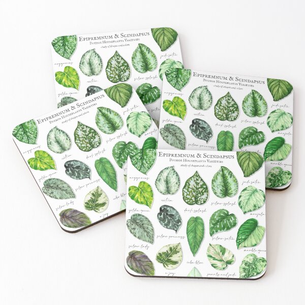 Item preview, Scindapsus pothos varieties light designed and sold by PetitMartin.