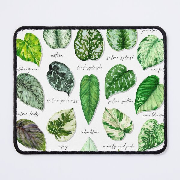 Item preview, Scindapsus pothos varieties light designed and sold by PetitMartin.