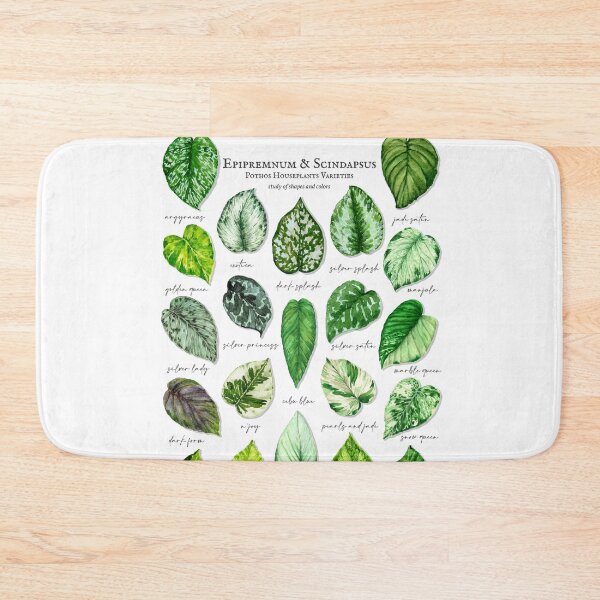 Item preview, Scindapsus pothos varieties light designed and sold by PetitMartin.