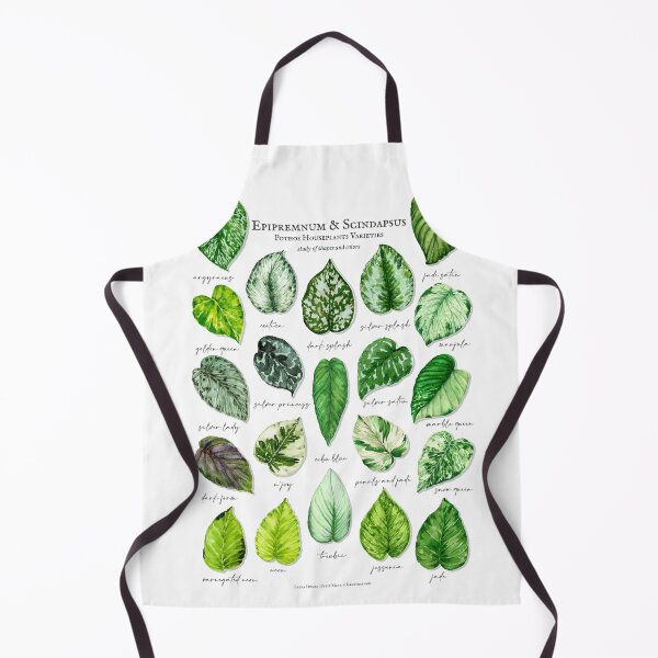 Item preview, Scindapsus pothos varieties light designed and sold by PetitMartin.