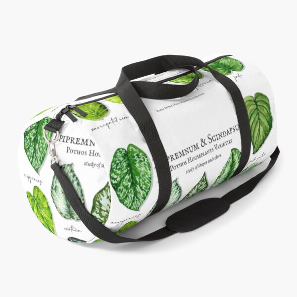 Item preview, Scindapsus pothos varieties light designed and sold by PetitMartin.