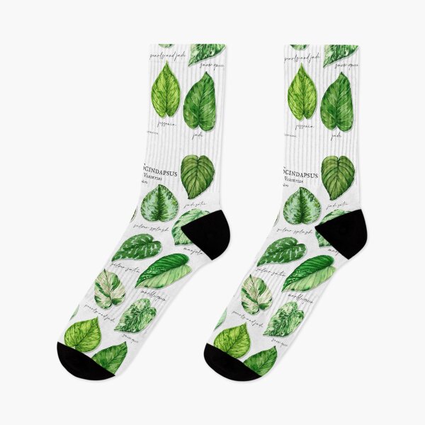 Item preview, Scindapsus pothos varieties light designed and sold by PetitMartin.