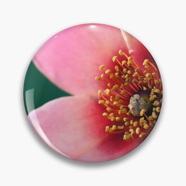 Item preview, Bright as a Button Rose designed and sold by Cloudlingpics.