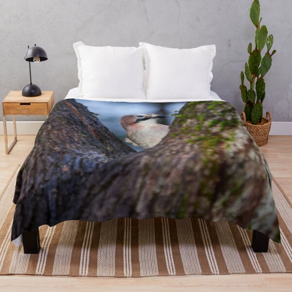 Item preview, V-style peep. Eurasian jay designed and sold by Jouko Lehto Photography.