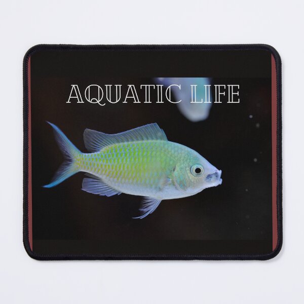 Item preview, Aquatic life designed and sold by Favcanva-Shop.