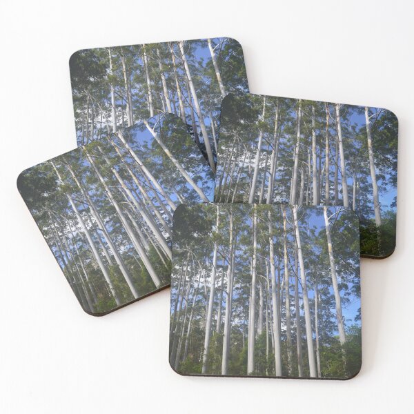 Item preview, Rainforest, Fraser Island designed and sold by BeckyMP.