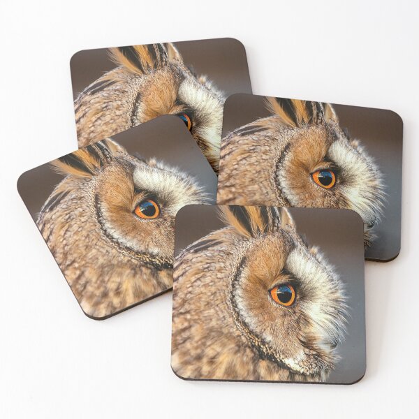 Item preview, long-eared owl designed and sold by Dalyndigital Photography.