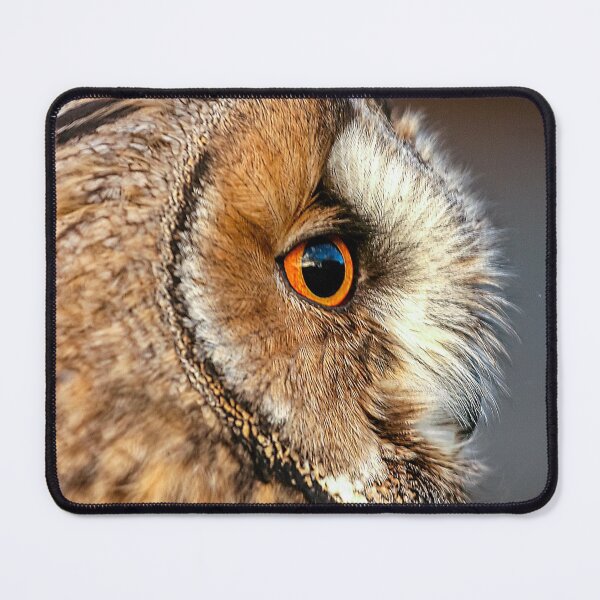 Item preview, long-eared owl designed and sold by Dalyndigital Photography.