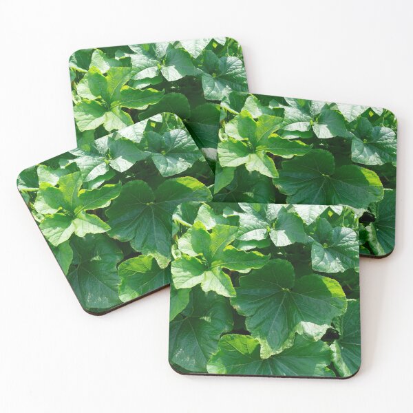 Item preview, Summer sun on pumpkin leaves: An ode to the lush green splendor designed and sold by Patricia Piotrak.